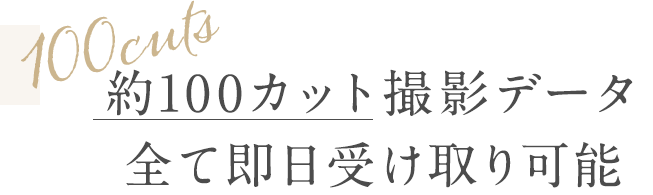 約100カット撮影データ全て即日受け取り可能